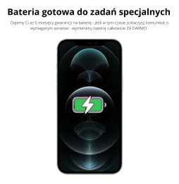ODNOWIONY iPhone 12 Pro 100% kondycji baterii